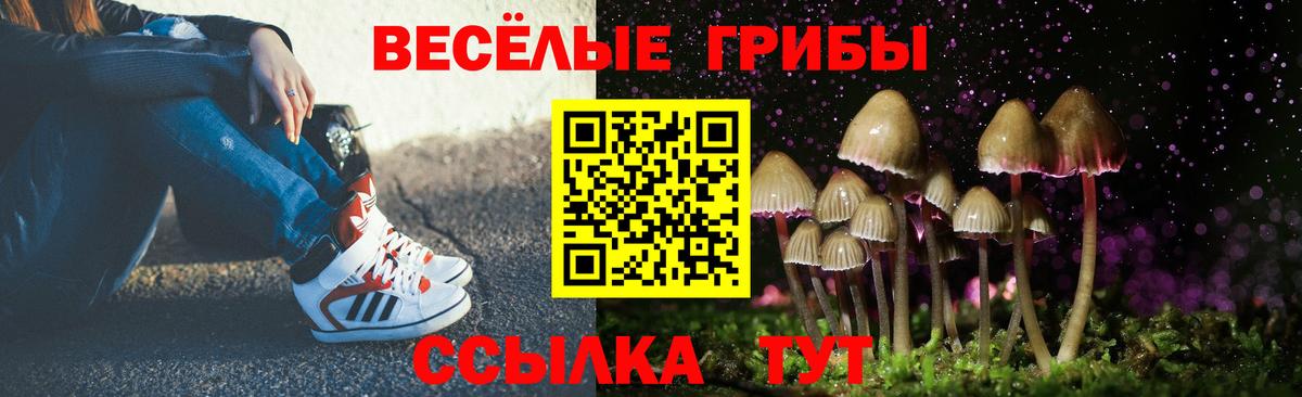 Псилоцибиновые грибы GOLDEN TEACHER  Вход с VPN  Железногорск 